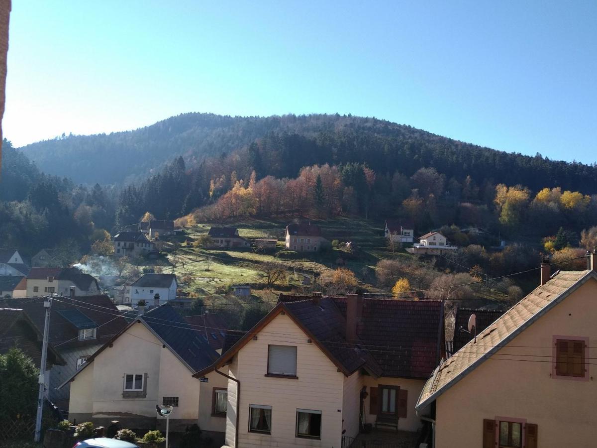 Bleu Seize Appartement Natzwiller Buitenkant foto